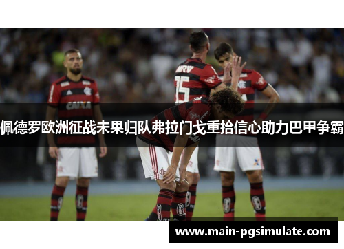 佩德罗欧洲征战未果归队弗拉门戈重拾信心助力巴甲争霸