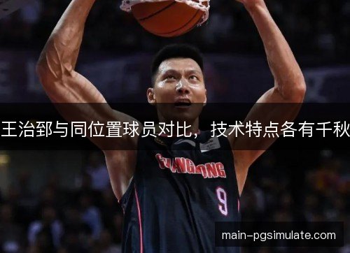 王治郅与同位置球员对比，技术特点各有千秋